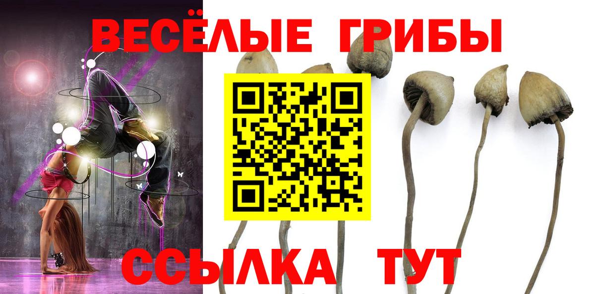 Галлюциногенные грибы мухоморы Электросталь
