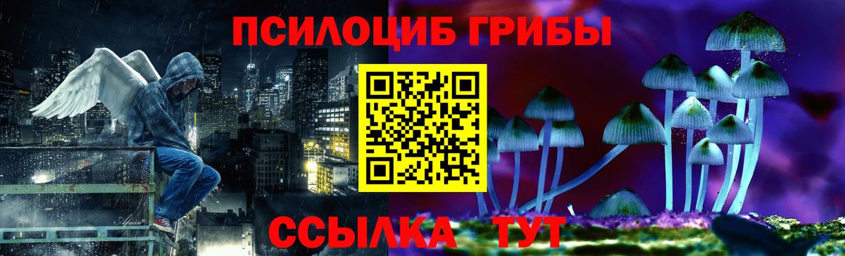 Псилоцибиновые грибы прущие грибы  Вход с VPN  где купить   Электросталь 